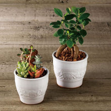 画像をギャラリービューアに読み込む, #63 未知との遭遇
